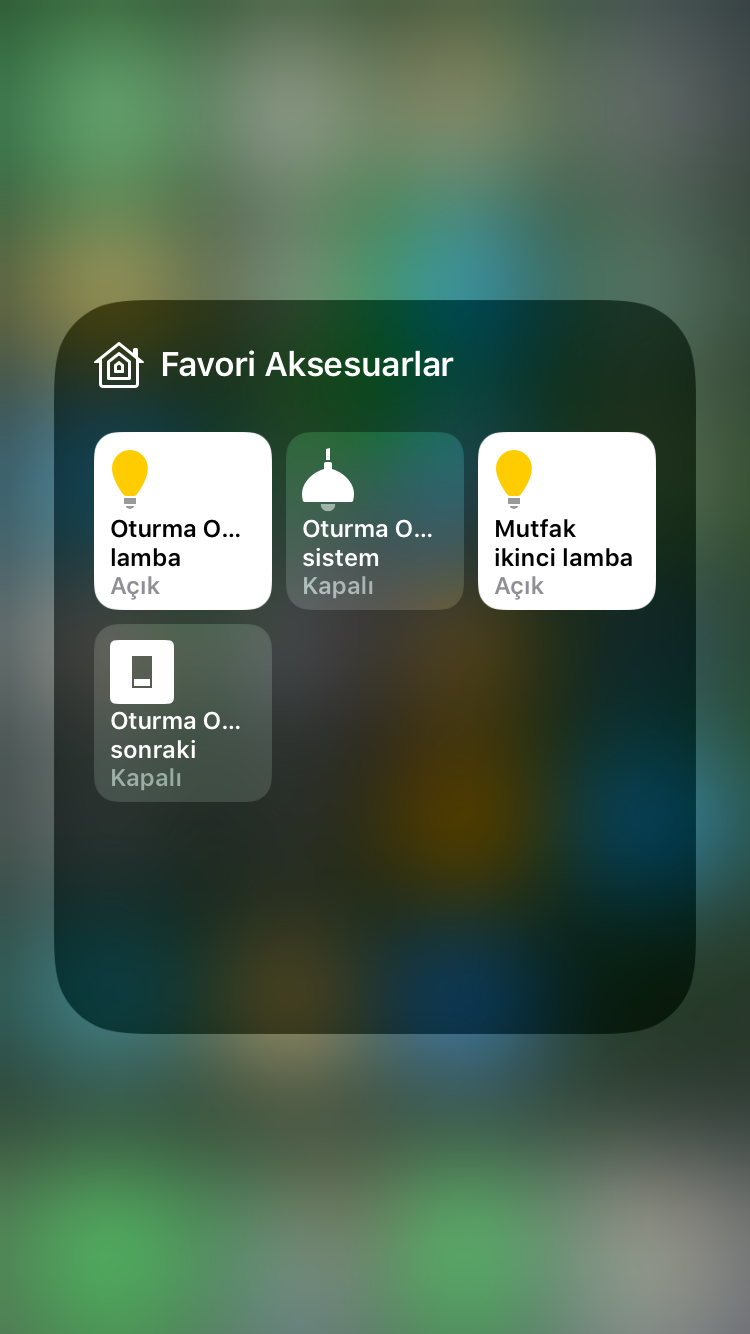 Proje Detay