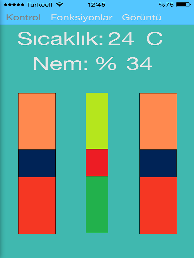 Proje Detay